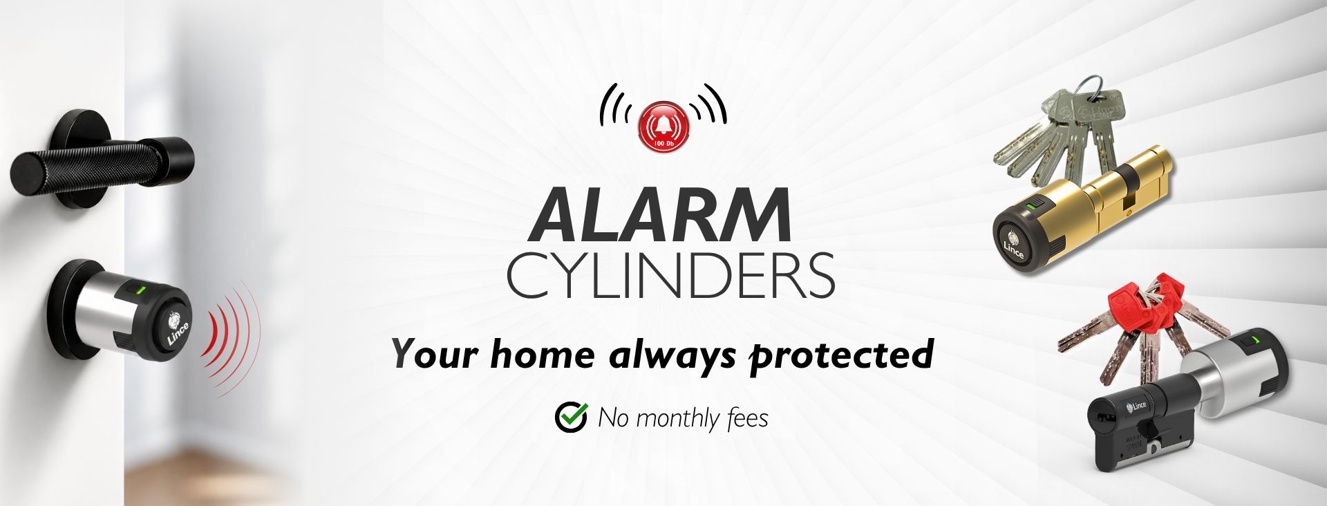 alarmed cylinders